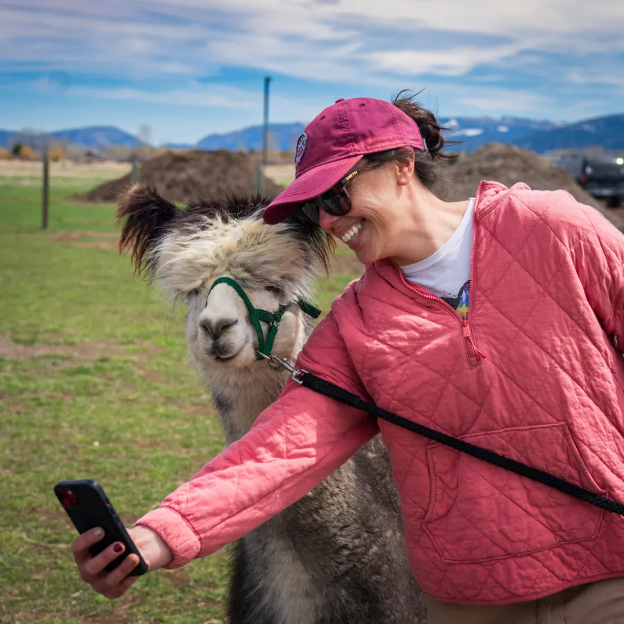 Alpaca & Llama Farm Tour Experience