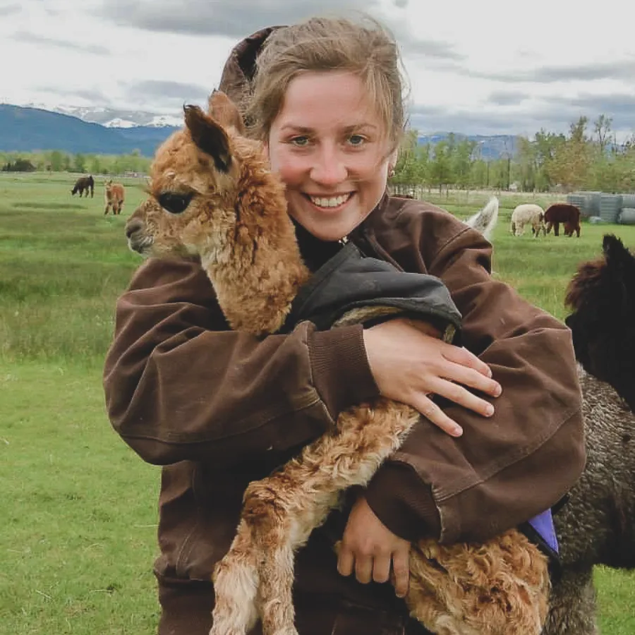 Alpaca & Llama Farm Tour Experience