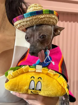 Baja Ponchos - Dog Sombrero and Taco Plush Pack