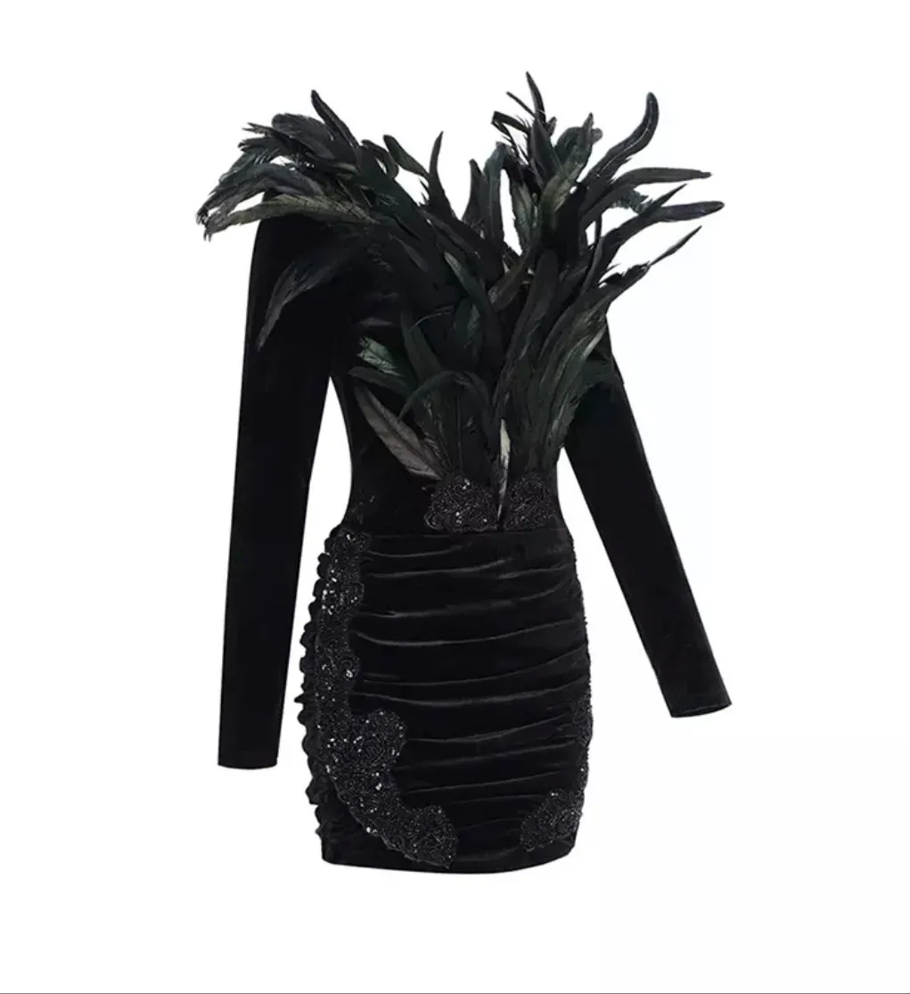 Velvet Feathers Black Mini Dress