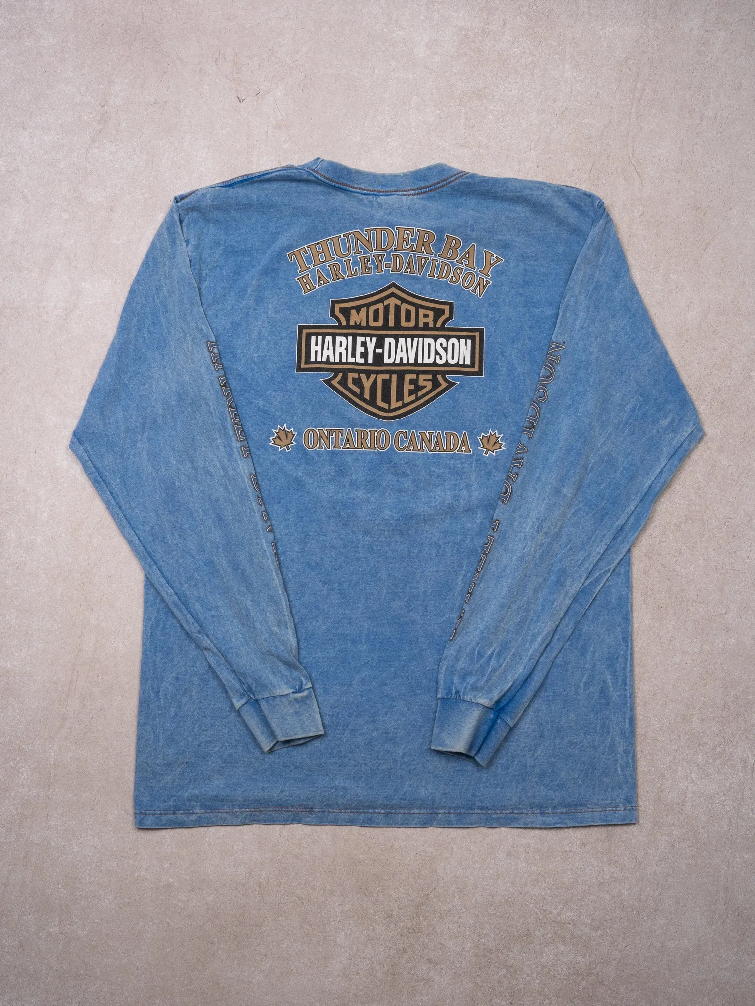 Vintage '00 Light Blue Harley Davidson Thunder Bay Long Sleeve (L)