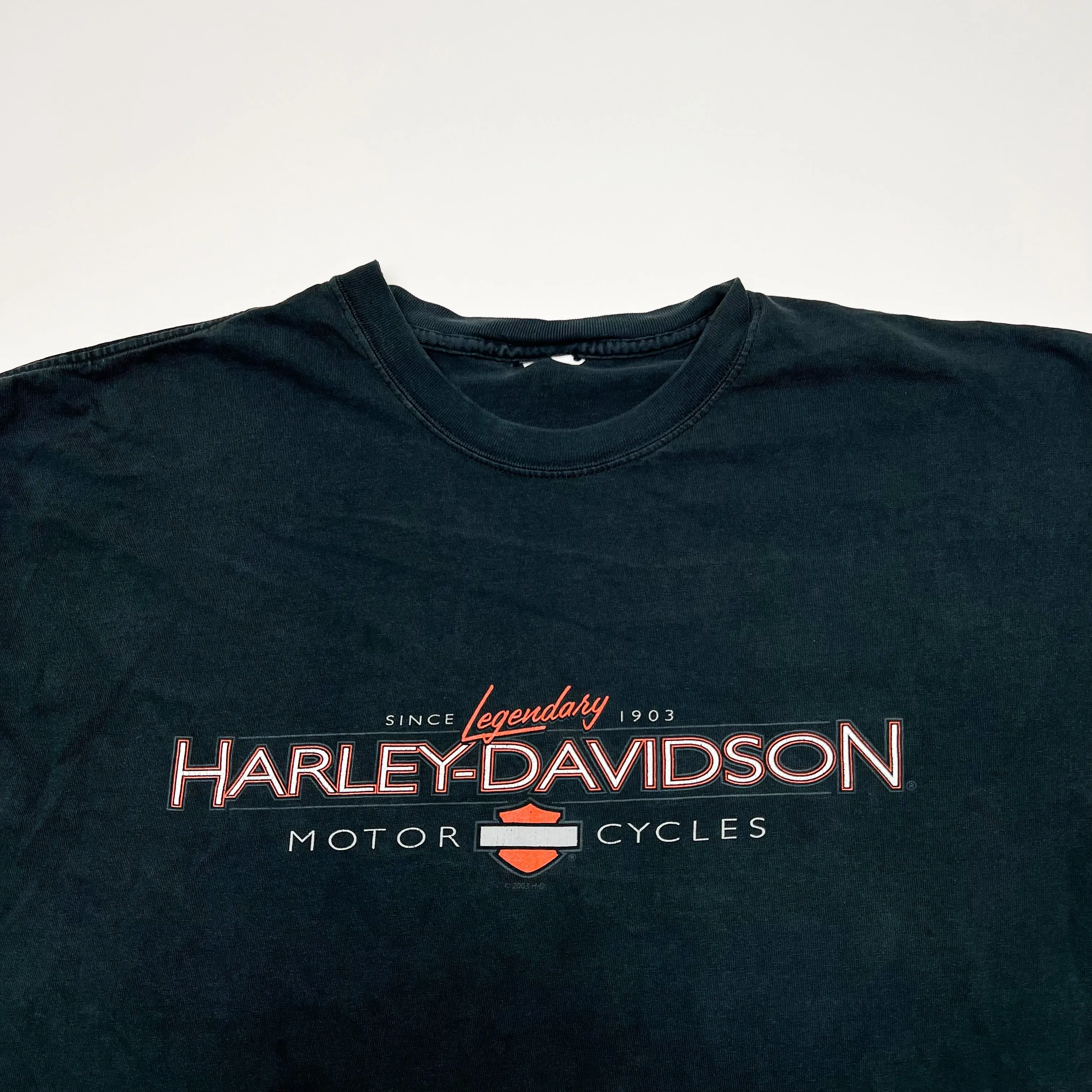 Vintage '03 Harley Davidson Gildners Michigan Tee (L)